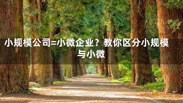 小规模公司=小微企业？教你区分小规模与小微