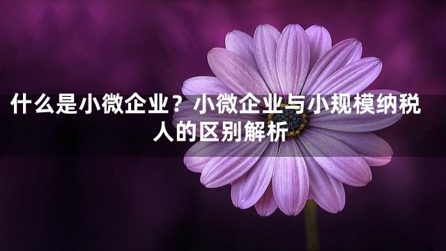 什么是小微企业？小微企业与小规模纳税人的区别解析