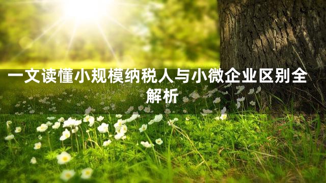 一文读懂小规模纳税人与小微企业区别全解析