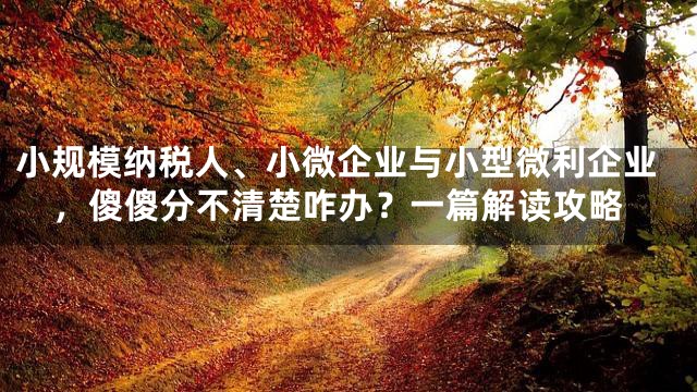 小规模纳税人、小微企业与小型微利企业，傻傻分不清楚咋办？一篇解读攻略