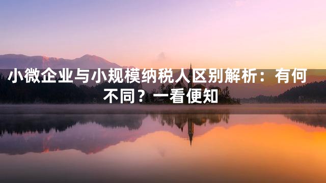 小微企业与小规模纳税人区别解析：有何不同？一看便知
