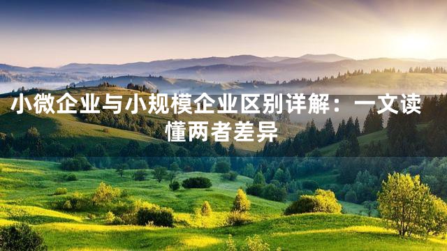 小微企业与小规模企业区别详解：一文读懂两者差异