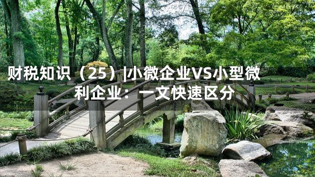 财税知识（25）|小微企业VS小型微利企业：一文快速区分