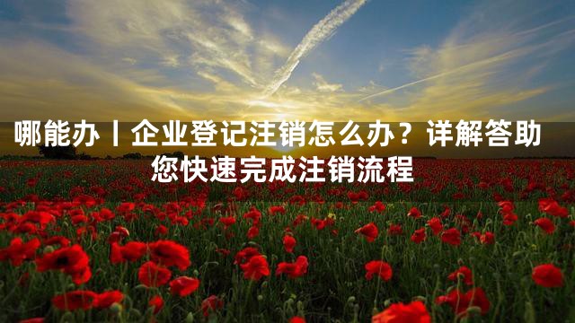 哪能办丨企业登记注销怎么办？详解答助您快速完成注销流程