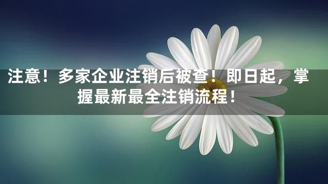注意！多家企业注销后被查！即日起，掌握最新最全注销流程！