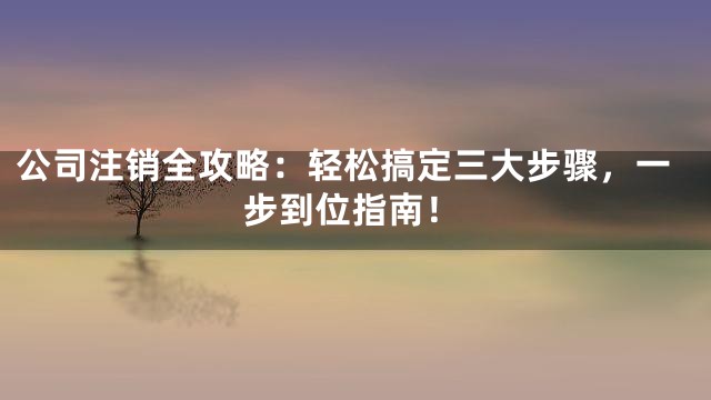 公司注销全攻略：轻松搞定三大步骤，一步到位指南！