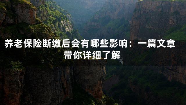 养老保险断缴后会有哪些影响：一篇文章带你详细了解