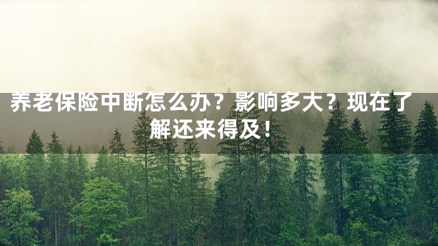 养老保险中断怎么办？影响多大？现在了解还来得及！