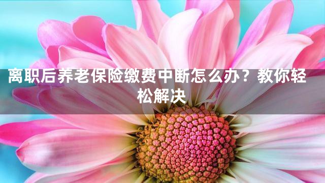 离职后养老保险缴费中断怎么办？教你轻松解决