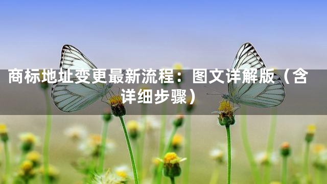 商标地址变更最新流程：图文详解版（含详细步骤）