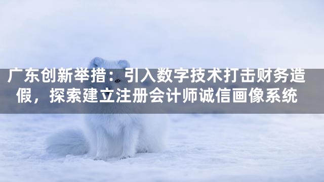 广东创新举措：引入数字技术打击财务造假，探索建立注册会计师诚信画像系统
