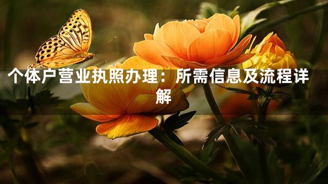 个体户营业执照办理：所需信息及流程详解