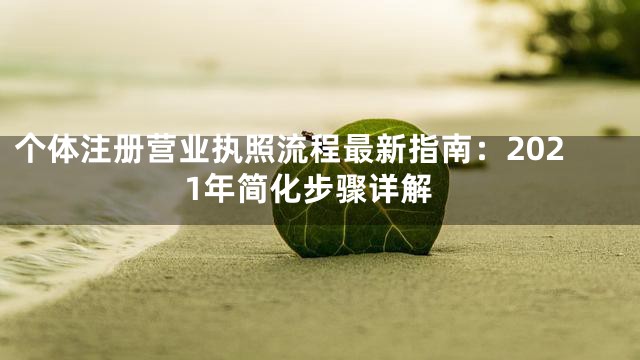 个体注册营业执照流程最新指南：2021年简化步骤详解