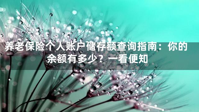 养老保险个人账户储存额查询指南：你的余额有多少？一看便知