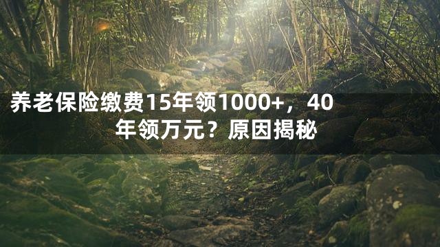 养老保险缴费15年领1000+，40年领万元？原因揭秘