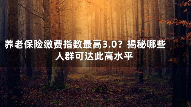 养老保险缴费指数最高3.0？揭秘哪些人群可达此高水平