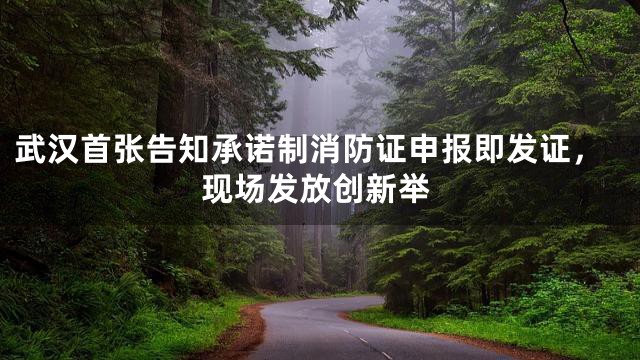 武汉首张告知承诺制消防证申报即发证，现场发放创新举