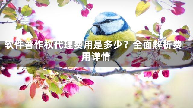 软件著作权代理费用是多少？全面解析费用详情