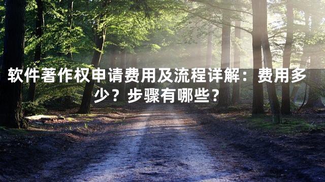 软件著作权申请费用及流程详解：费用多少？步骤有哪些？