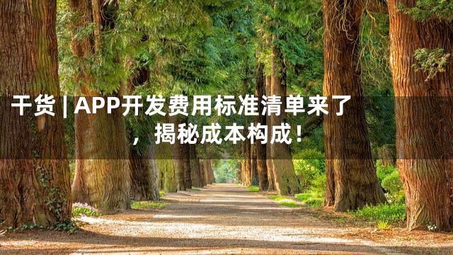 干货 | APP开发费用标准清单来了，揭秘成本构成！