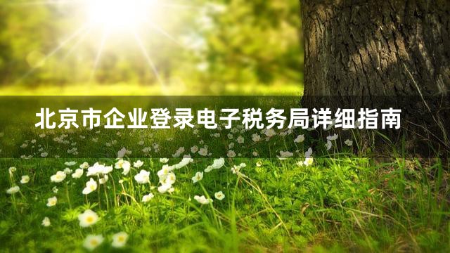 北京市企业登录电子税务局详细指南