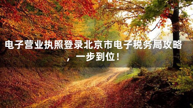 电子营业执照登录北京市电子税务局攻略，一步到位！