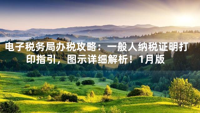 电子税务局办税攻略：一般人纳税证明打印指引，图示详细解析！1月版