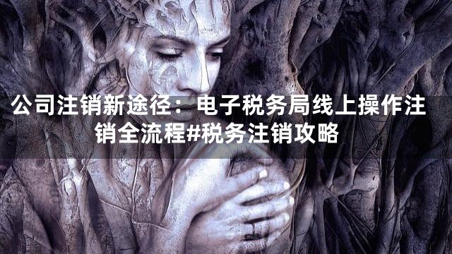 公司注销新途径：电子税务局线上操作注销全流程#税务注销攻略