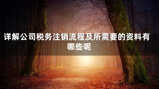 详解公司税务注销流程及所需要的资料有哪些呢