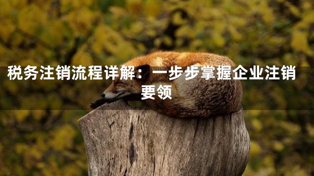 税务注销流程详解：一步步掌握企业注销要领