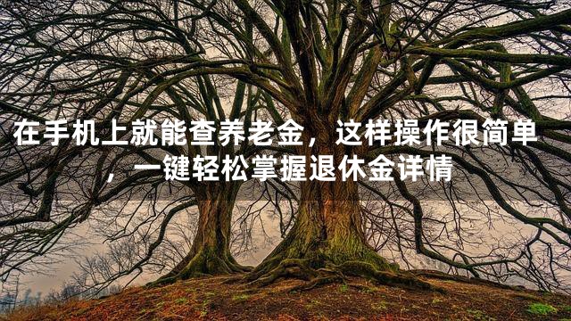 在手机上就能查养老金，这样操作很简单，一键轻松掌握退休金详情