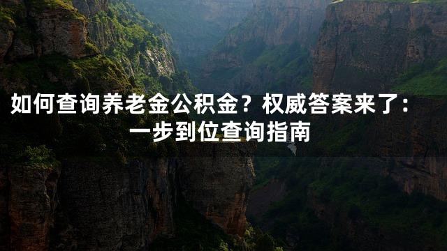 如何查询养老金公积金？权威答案来了：一步到位查询指南