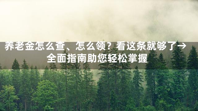 养老金怎么查、怎么领？看这条就够了→全面指南助您轻松掌握