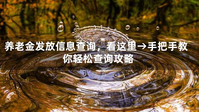 养老金发放信息查询，看这里→手把手教你轻松查询攻略