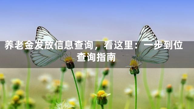 养老金发放信息查询，看这里：一步到位查询指南