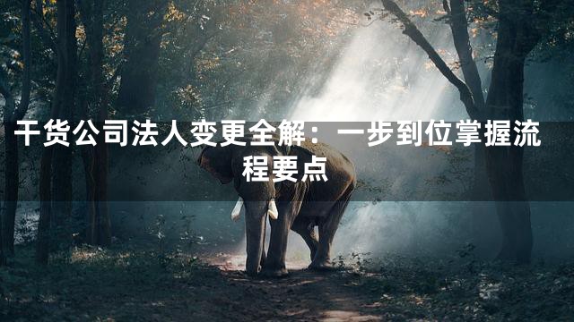 干货公司法人变更全解：一步到位掌握流程要点