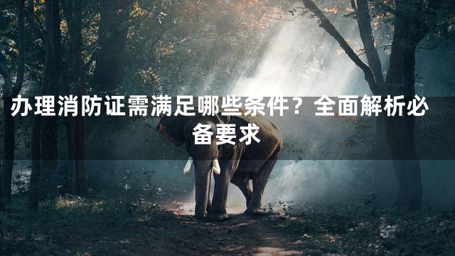 办理消防证需满足哪些条件？全面解析必备要求
