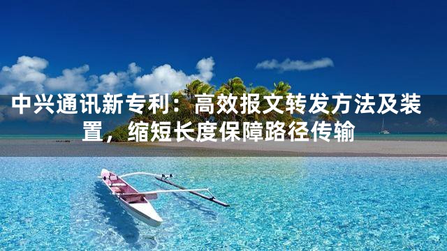中兴通讯新专利：高效报文转发方法及装置，缩短长度保障路径传输