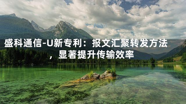 盛科通信-U新专利：报文汇聚转发方法，显著提升传输效率