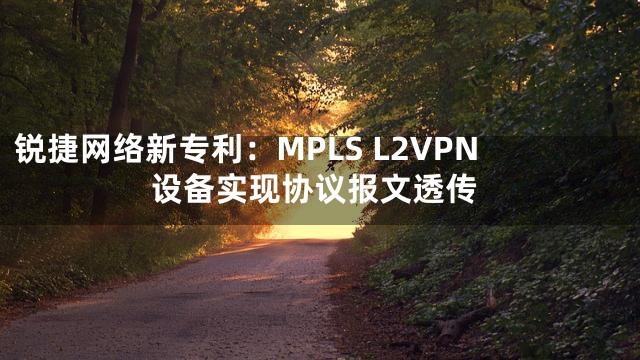 锐捷网络新专利：MPLS L2VPN设备实现协议报文透传