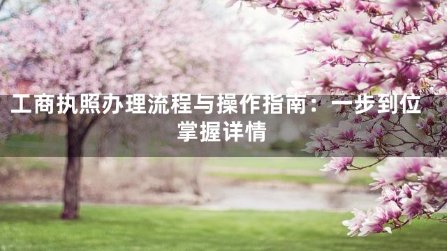 工商执照办理流程与操作指南：一步到位掌握详情