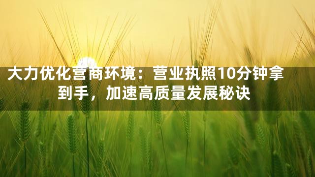大力优化营商环境：营业执照10分钟拿到手，加速高质量发展秘诀