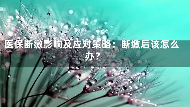 医保断缴影响及应对策略：断缴后该怎么办？