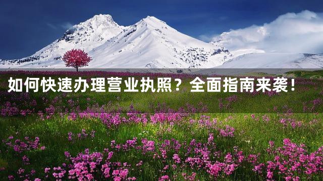 如何快速办理营业执照？全面指南来袭！