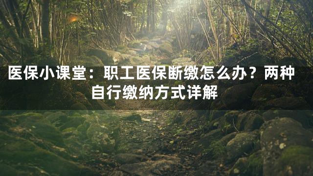 医保小课堂：职工医保断缴怎么办？两种自行缴纳方式详解