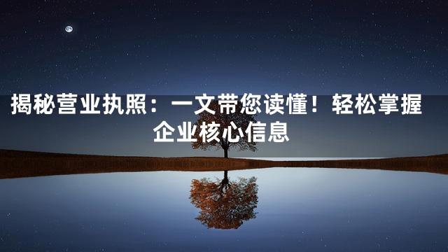 揭秘营业执照：一文带您读懂！轻松掌握企业核心信息