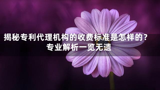 揭秘专利代理机构的收费标准是怎样的？专业解析一览无遗