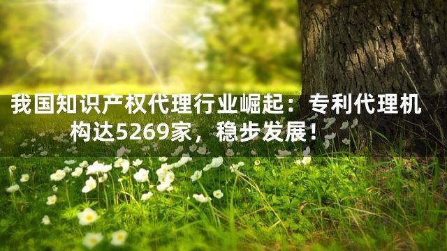 我国知识产权代理行业崛起：专利代理机构达5269家，稳步发展！