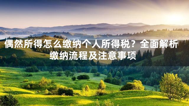 偶然所得怎么缴纳个人所得税？全面解析缴纳流程及注意事项