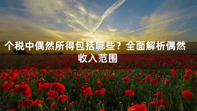 个税中偶然所得包括哪些？全面解析偶然收入范围